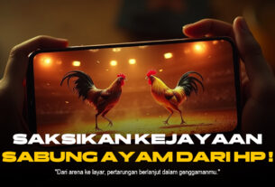 Kuasai Sabung Ayam SV388, Peluang Menang dan Strateginya