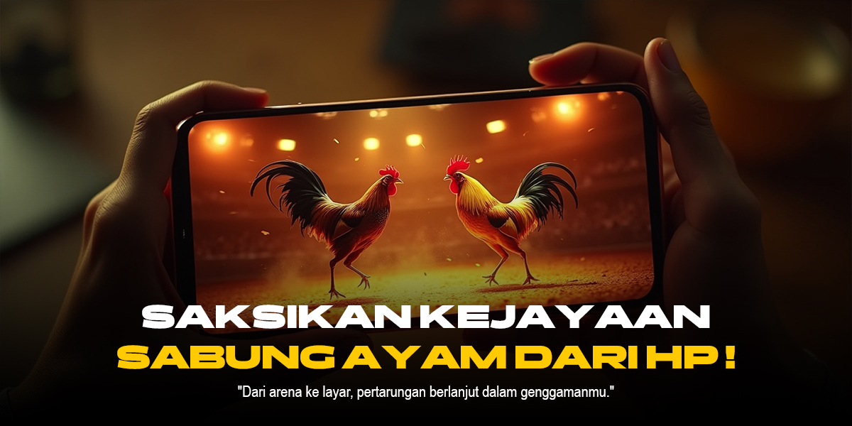 Kuasai Sabung Ayam SV388, Peluang Menang dan Strateginya