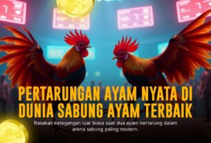 Strategi Jitu Memilih Ayam Petarung di SABUNG AYAM S128