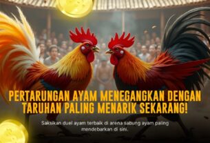 Mengenal Ayam Bangkok SV388: Raja Sabung Ayam Online