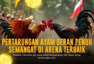 Rahasia Ketenaran Ayam Bangkok di Sabung Ayam Online