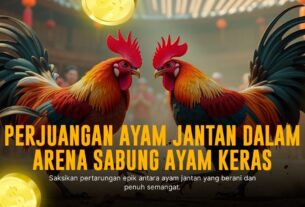 Mengungkap Misteri Sabung Ayam SV388: Adu Strategi dan Keberuntungan