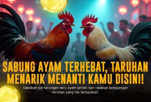 Mengenal Jenis Ayam Bangkok Dalam Sabung Ayam SV388