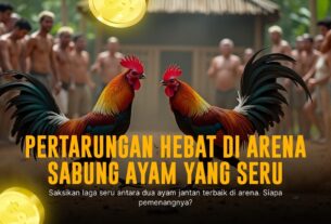 Mengenal Jenis Ayam Bangkok Dalam Sabung Ayam SV388