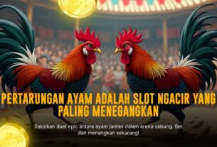 Mengenal S128: Provider Terbaik untuk Sabung Ayam Online