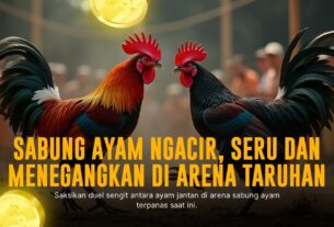 Mengulik Kelebihan Ayam Bangkok di Sabung Ayam SV388